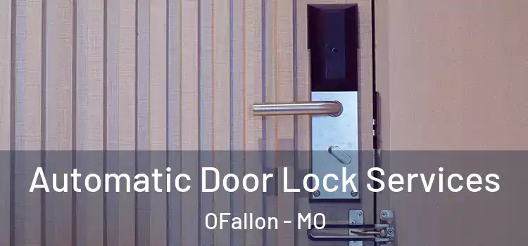 Automatic Door Lock Services OFallon - MO