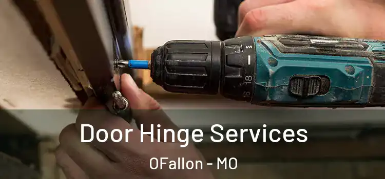 Door Hinge Services OFallon - MO