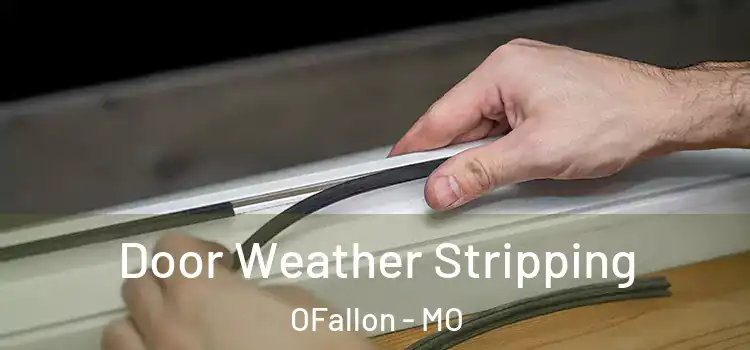 Door Weather Stripping OFallon - MO