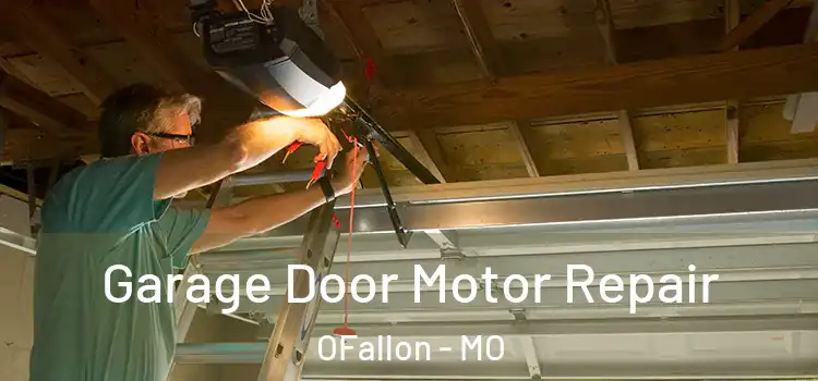  Garage Door Motor Repair OFallon - MO