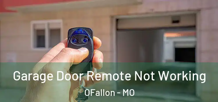  Garage Door Remote Not Working OFallon - MO