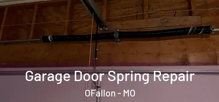  Garage Door Spring Repair OFallon - MO
