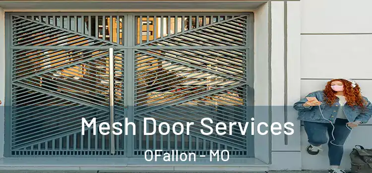 Mesh Door Services OFallon - MO