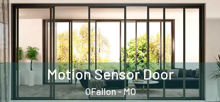 Motion Sensor Door OFallon - MO