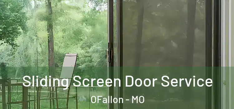 Sliding Screen Door Service OFallon - MO