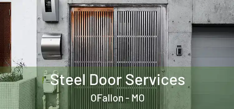 Steel Door Services OFallon - MO